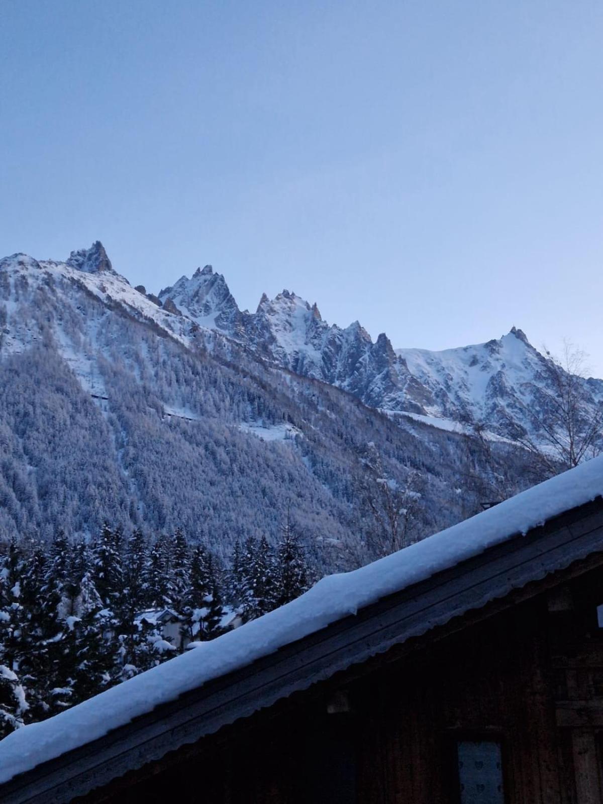 Appartement Ensoleille Aux Tines, Vue Massif Chamonix Luaran gambar